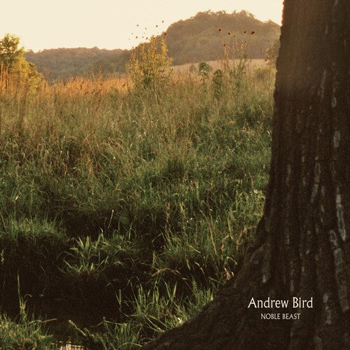 Andrew Bird: Noble Beast - Vinyl LP