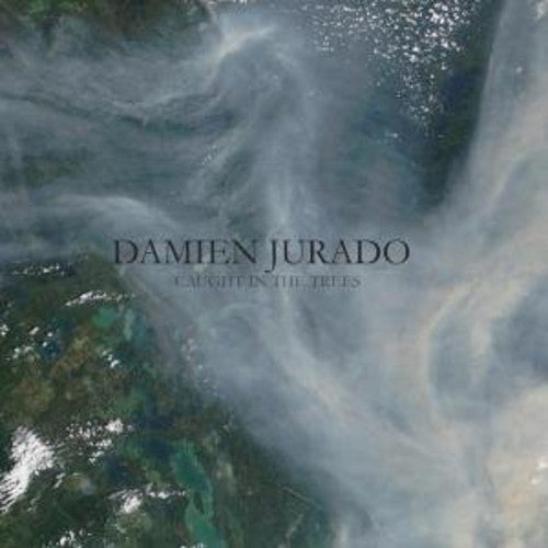 Damien Jurado: Caught in the Trees - Vinyl LP
