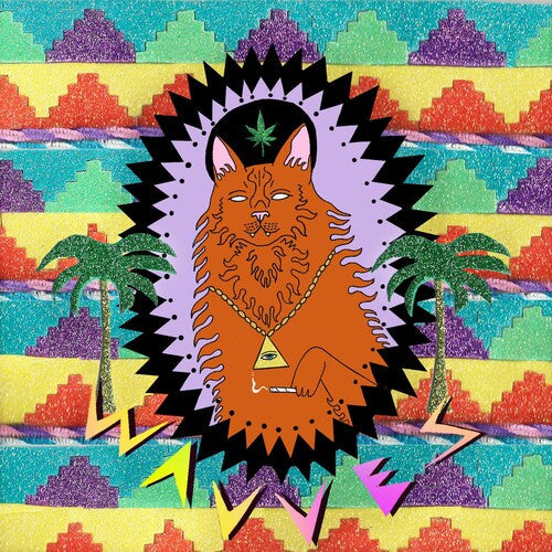 Wavves: King of the Beach - Vinyl LP
