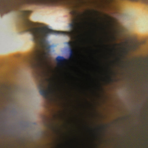 Animal Collective: Fall Be Kind - Vinyl LP