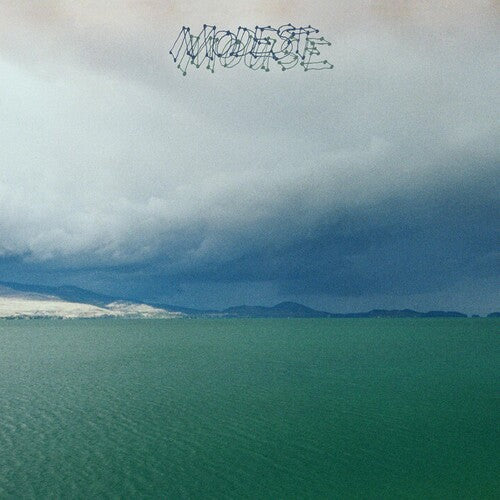 Modest Mouse: Fruit That Ate Itself - Vinyl LP