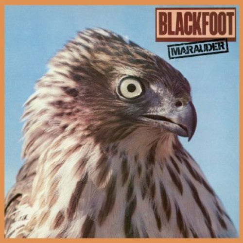 Blackfoot: Marauder - COMPACT DISCS