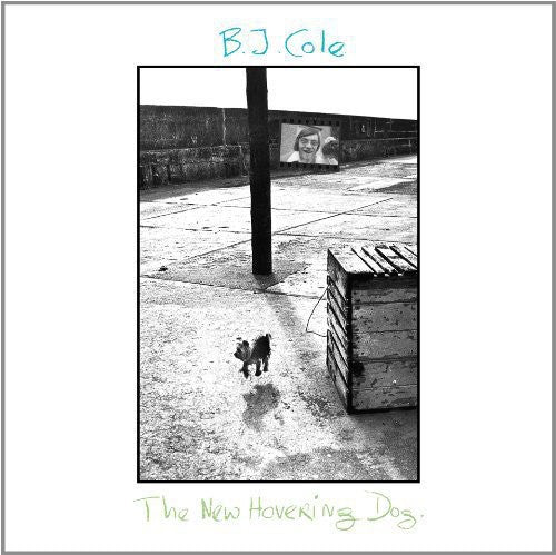 Bj Cole: New Hovering Dog - Vinyl LP