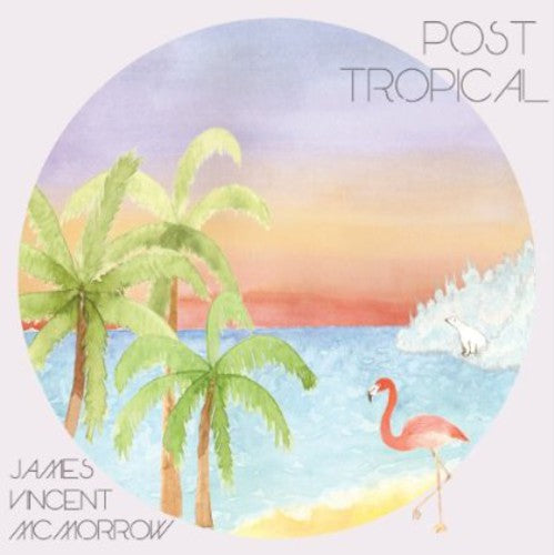 James Vincent McMorrow: Post Tropical - Vinyl LP