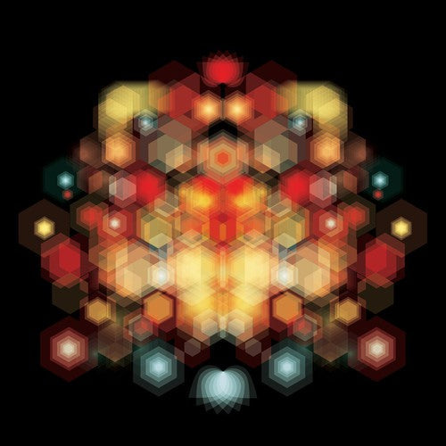 Brothertiger: Future Splendors - Vinyl LP