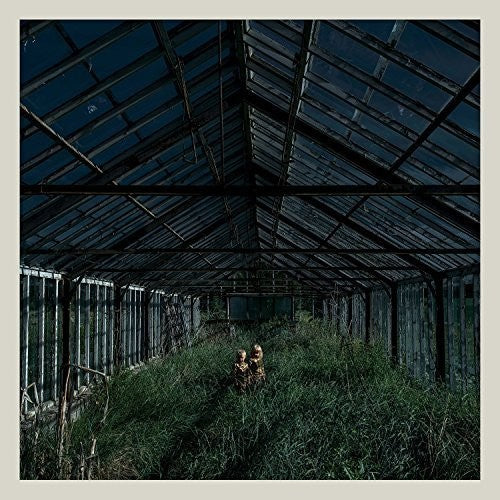 Foxing: Dealer - Vinyl LP
