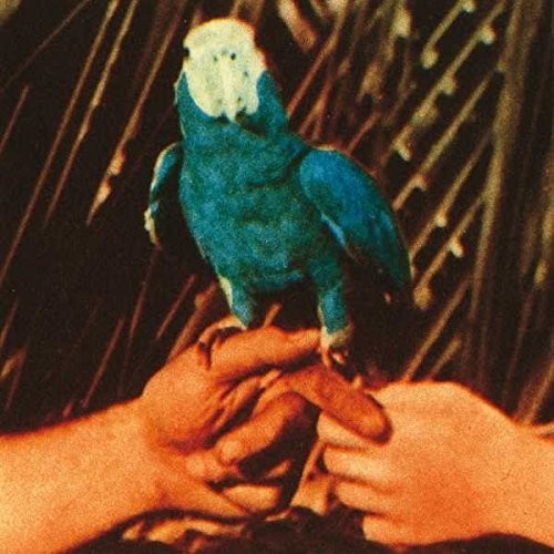 Andrew Bird: Are You Serious - Vinyl LP