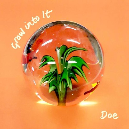 Doe: Grow Into It - COMPACT DISCS