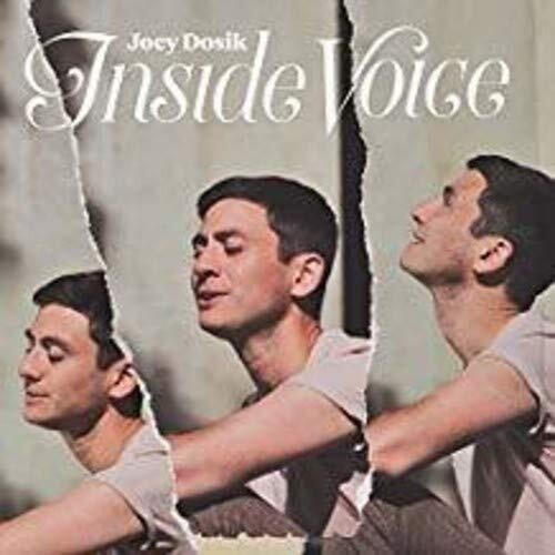 Joey Dosik: INSIDE VOICE - Vinyl LP
