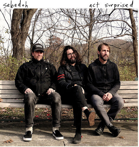 Sebadoh: Act Surprised - Vinyl LP