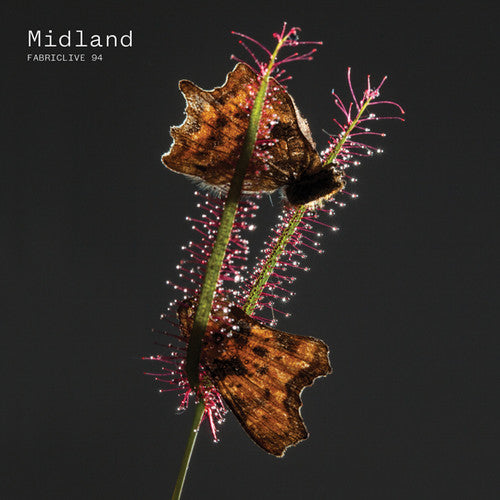 Midland: Fabriclive 94 - COMPACT DISCS