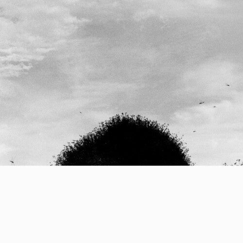 Chihei Hatakeyama: Forgotten Hill - Vinyl LP