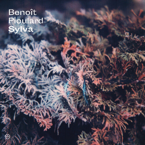 Benoit Pioulard: Sylva - COMPACT DISCS