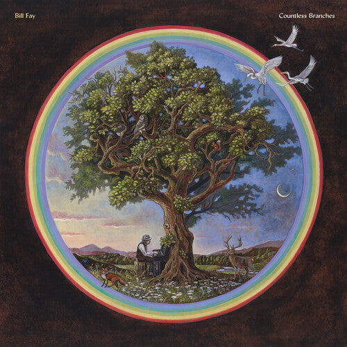 Bill Fay: Countless Branches (Deluxe Edition) - Vinyl LP