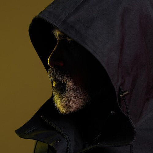 Steve Spacek: Houses - Vinyl LP