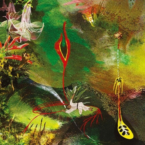Tomas Tello: Cimora - Vinyl LP