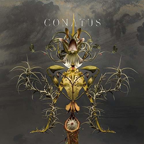 Joep Beving: Conatus - Vinyl LP