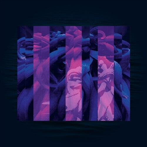 Electric Sewer Age: Contemplating Nothingness - Vinyl LP