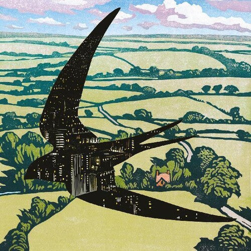 Bibio: Sleep On The Wing - Vinyl LP