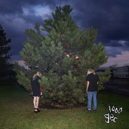 100 gecs: 1000 Gecs - Vinyl LP