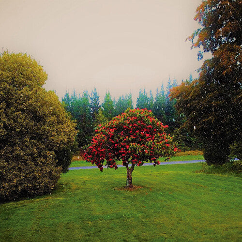 The Bats: Foothills - Vinyl LP