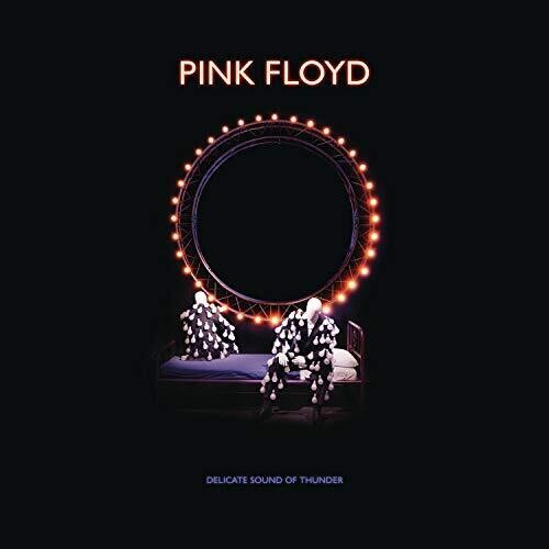 Pink Floyd: Delicate Sound Of Thunder Deluxe Box Set - COMPACT DISCS
