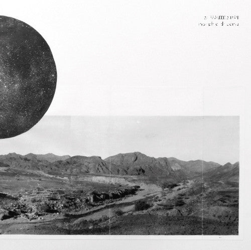 Alessandro Adriani: Morphic Dreams - Vinyl LP