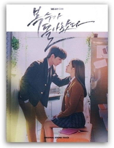 My Strange Hero / O.S.T.: MY STRANGE HERO (Korean SBS Drama Soundtrack) - COMPACT DISCS