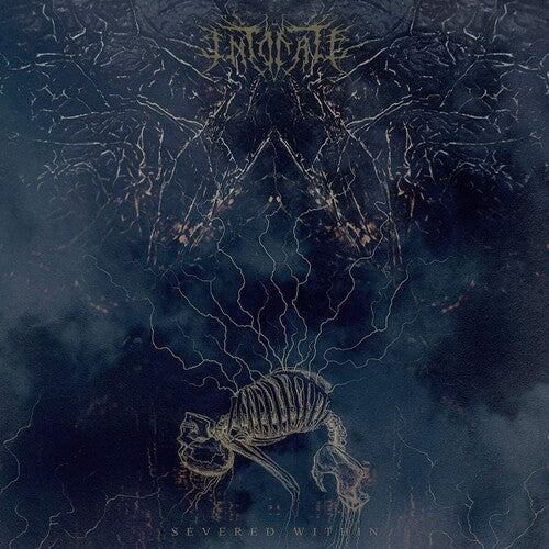 Intonate: Severed WIthin - Vinyl LP