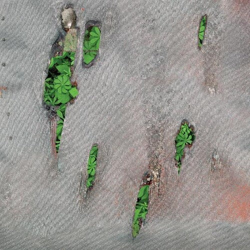 Koreless: Agor - Vinyl LP