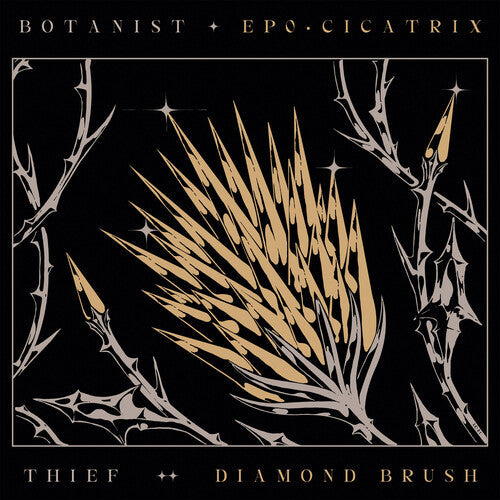 Botanist: Cicatrix / Diamond Brush - COMPACT DISCS