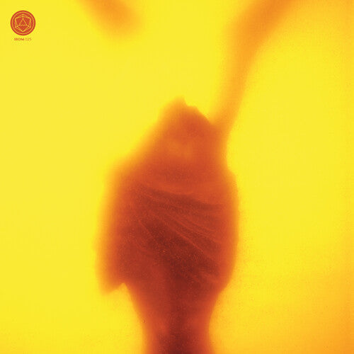 Massimo Pupillo: Embracing the Ruins - Vinyl LP