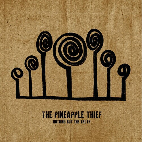 Pineapple Thief: Nothing But The Truth - Vinyl LP