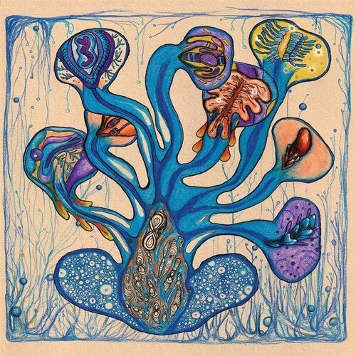 Houeida Hedfi: Fleuves de l'Ame - Vinyl LP