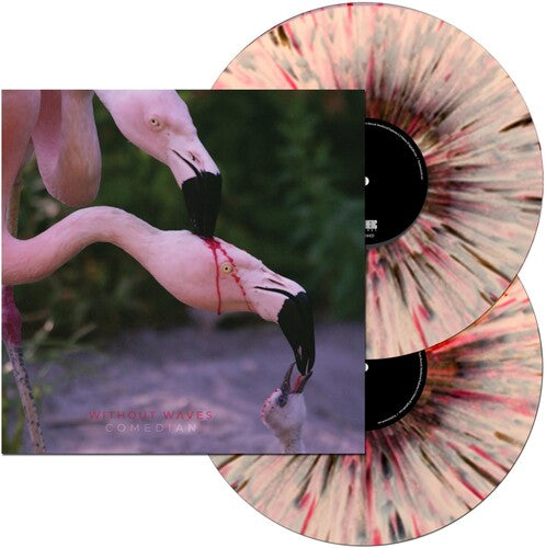 Without Waves: Comedian - Vinyl LP