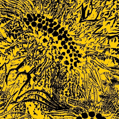 Whiting, Amanda: Little Sunflower - Vinyl LP