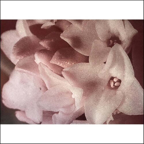 Masonna: Masonna Vs Banamara - Vinyl LP