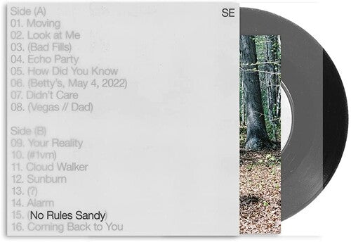 Sylvan Esso: No Rules Sandy - Vinyl LP