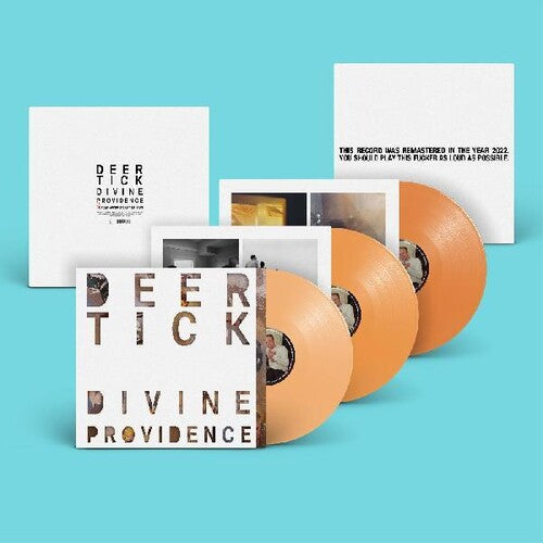 Deer Tick: Divine Providence - Vinyl LP