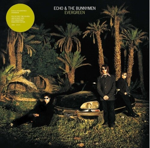 Echo & the Bunnymen: Evergreen - Vinyl LP