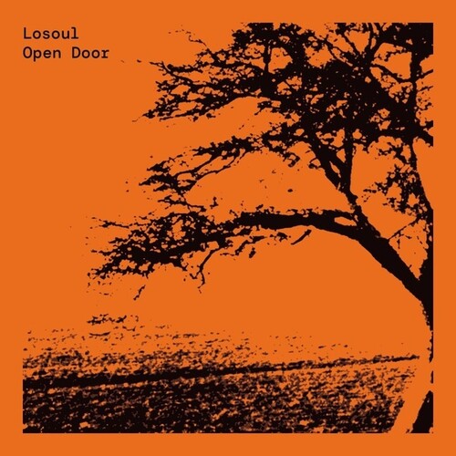 Losoul: Open Door - Vinyl LP