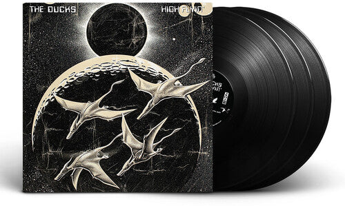 Ducks: High Flyin - Vinyl LP