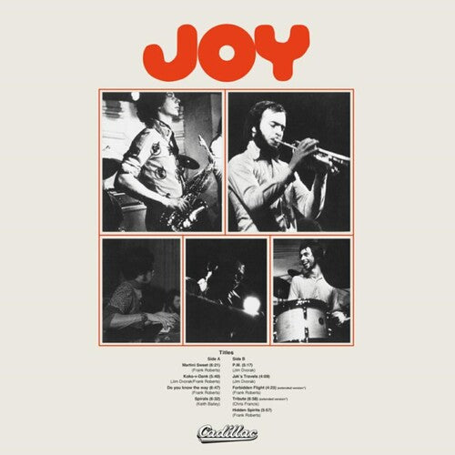 Joy: Joy - Vinyl LP