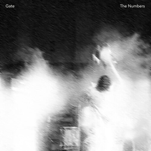 The Gate: The Numbers - Vinyl LP