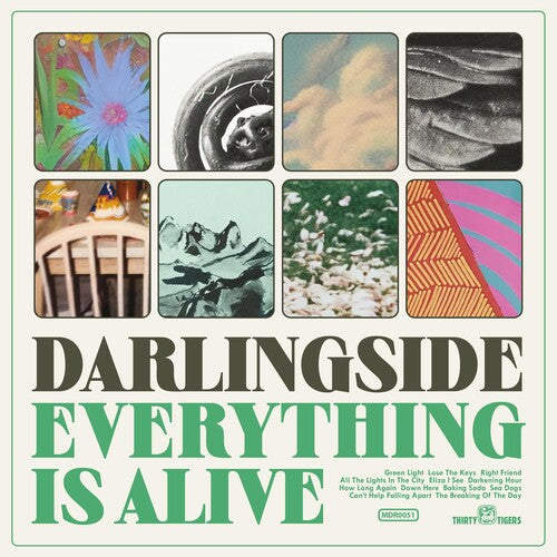 Darlingside: Everything Is Alive - Vinyl LP