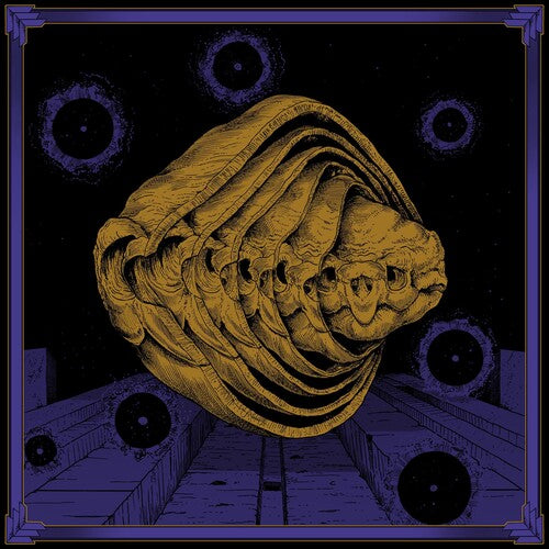 Tortuga: Iterations - COMPACT DISCS