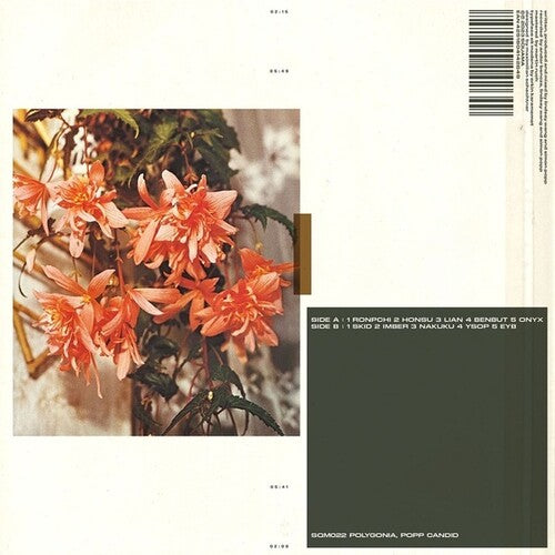 Popp Polygonia: Candid - Vinyl LP