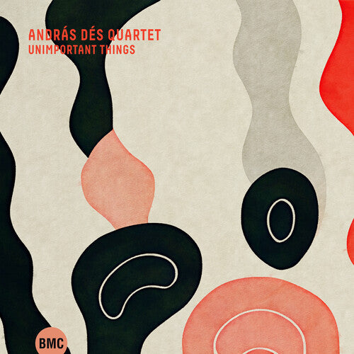Andras Des: Unimportant Things - COMPACT DISCS