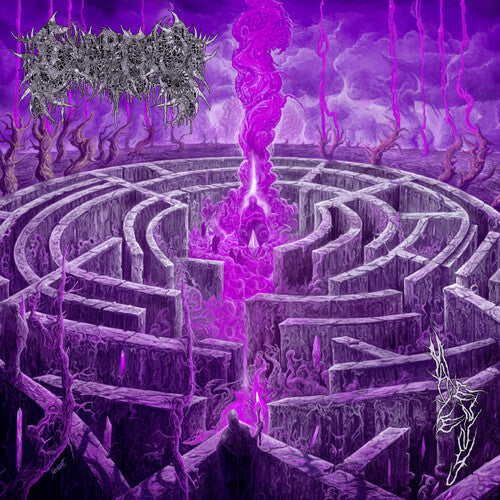 Civerous: Maze Envy - Vinyl LP