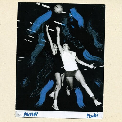 Ptaki: Przelot - Vinyl LP